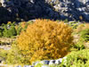 My Gallery: Image