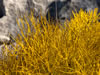 My Gallery: Image