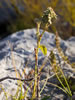 My Gallery: Image