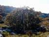 My Gallery: Image