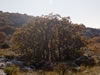 My Gallery: Image