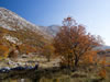 My Gallery: Image
