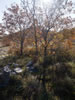 My Gallery: Image