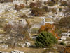 My Gallery: Image