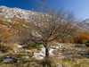 My Gallery: Image