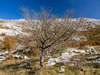 My Gallery: Image
