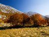 My Gallery: Image