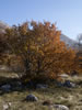 My Gallery: Image