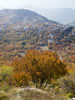 My Gallery: Image