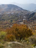 My Gallery: Image